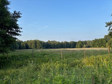 Zapraszam do zakupu działki 9 846 m² w Tanowie działka Tanowo