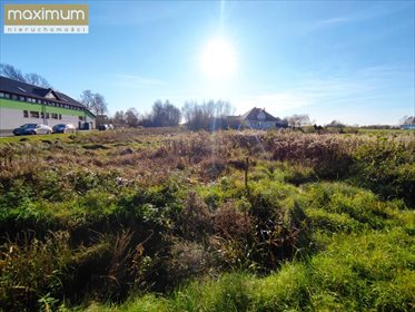 Działka budowlana na sprzedaż Aleksandrów 2 846m2 Foto 5