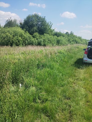 Malownicze działki nad stawem Borowiec w Gołębiu działka Gołąb