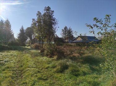 działka na sprzedaż 13300m2 działka Ostrowy Tuszowskie