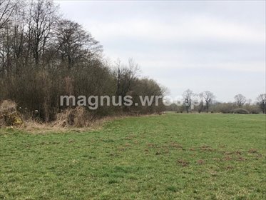 działka na sprzedaż 3002m2 działka Świdnica, okolice Częstochowskiej