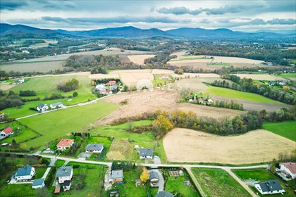 działka na sprzedaż 3982m2 działka Bielowicko