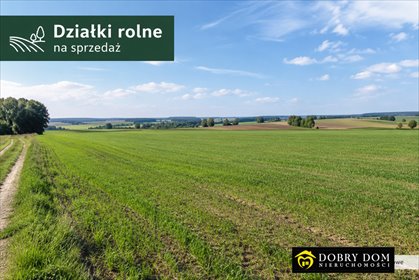 Grunty rolne na sprzedaż w Odnoga-Kuźmy (4,9 ha) z możliwością podziału działka Odnoga-Kuźmy