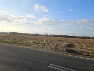działka na sprzedaż 3516m2 działka Rydzyn Szlachecki