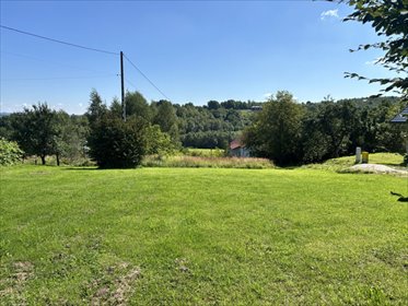 działka na sprzedaż 2908m2 działka Tyczyn, Mickiewicza