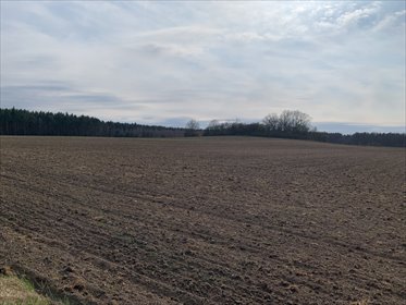 działka na sprzedaż 48209m2 działka Pątnów Legnicki, Pątnów Legnicki