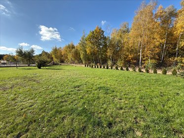 Polecam dwie działki 3000 m² w Wilamach z warunkami zabudowy działka Wilamy