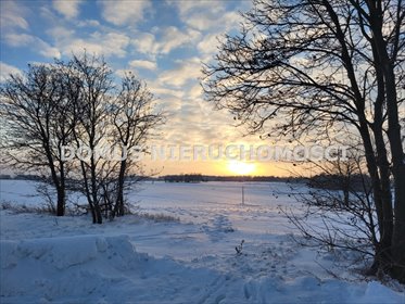 działka na sprzedaż 1500m2 działka Rogów