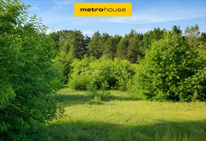 Duża działka 9589 m² w Jeruzalu, las, media, 80 tys zł działka Jeruzal