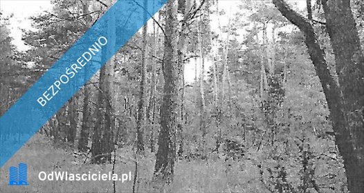 działka na sprzedaż 2100m2 działka Działoszyn