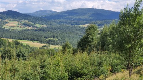 działka na sprzedaż 5000m2 działka Pewel Wielka, Buławka