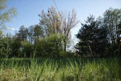 działka na sprzedaż 2007m2 działka Nekielka, Kwiatowa Droga