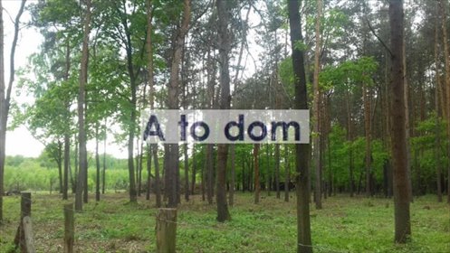 działka na sprzedaż 8296m2 działka Kobyłka