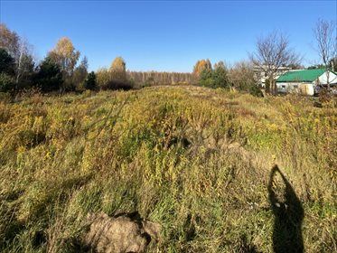 Do sprzedania działka 11 001 m² z MPZP i mediami działka Rumianka, Orzechowa