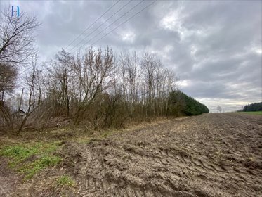 Na sprzedaż działka 10 800 m² z lasami i rozległym krajobrazem działka Nadolna
