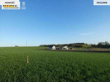 Działka budowlana 1068 m² z warunkami zabudowy działka Tarnówko