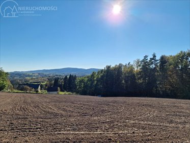 działka na sprzedaż 2200m2 działka Błażkowa