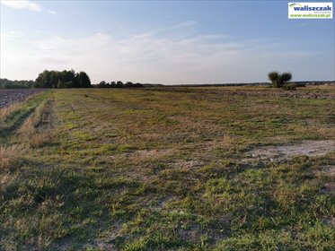 Na sprzedaż działka 8 207 m² z warunkami zabudowy działka Rozprza