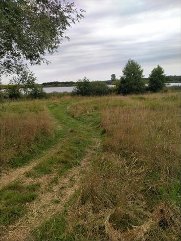 Działka 4211 m² blisko jeziora w Czarnowie - polecam! działka Czarnowo