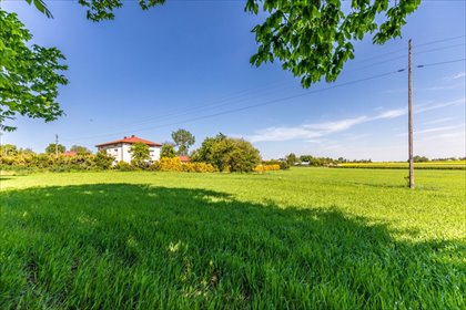 działka na sprzedaż 1500m2 działka Maszki k. Wojciechowa