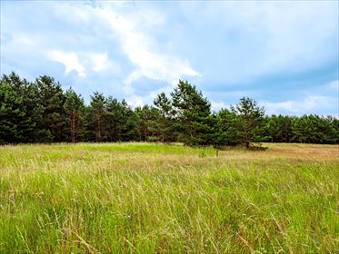 Działki w Wojtalu nad Wdą - polecam działka Wojtal, Świerkowa