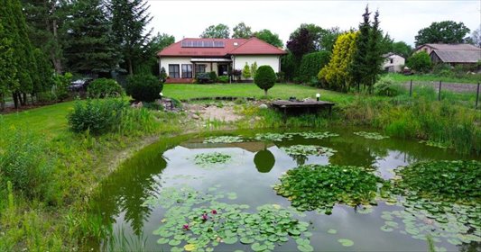 Do sprzedania przestronny dom 235 m² z własnym stawem w Orzeszynie dom Orzeszyn