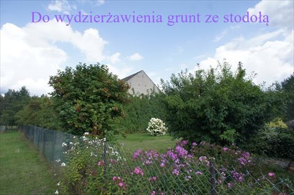 Działka rolna pod dzierżawę Krzywice 8 385m2 Foto 1