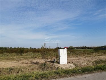 Działka budowlana na sprzedaż Bedlno 1 100m2 Foto 5