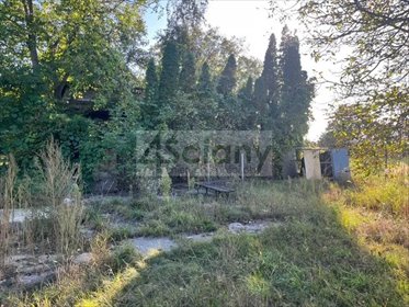 działka na sprzedaż 1243m2 działka Domaniewek Pierwszy