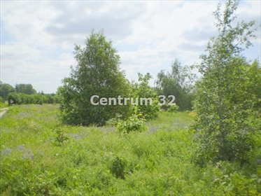 Do sprzedania działka 4029 m² z możliwością podziału działka Siedliska, Graniczna