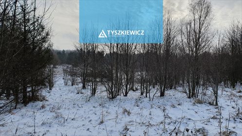 Działka rolna na sprzedaż Kierzkowo, Bliziny, Morska 49 200m2 Foto 7