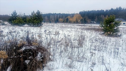 działka na sprzedaż 4700m2 działka Niwy