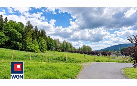 Do sprzedania działka rekreacyjna 8 592 m² w Radkowie działka Radków, Radków, Kolonia Leśna