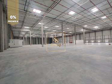 magazyn na wynajem 8800m2 magazyn Marysin