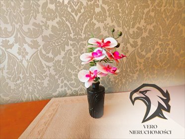 mieszkanie na sprzedaż 40m2 mieszkanie Łódź, Bałuty, Hipoteczna