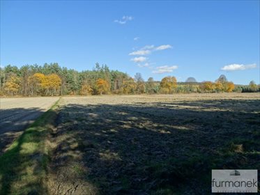 działka na sprzedaż 7018m2 działka Lipowiec