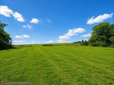 Działka budowlana 930 m² w Rzeplinie – cicha okolica działka Rzeplin