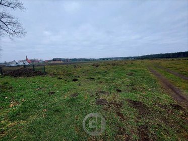 działka na sprzedaż 1918m2 działka Białcz