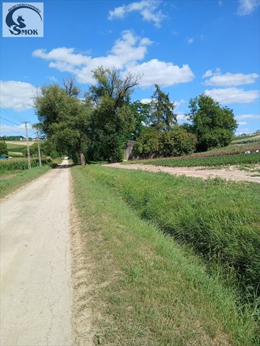 Działka 1,7 ha w Polekarcicach - zapraszam działka Polekarcice
