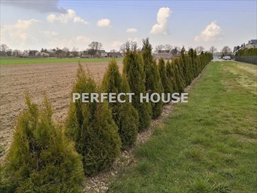 Działka budowlana na sprzedaż Walerianowo 1 501m2 Foto 4