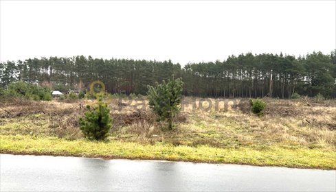 Działki w Stany 1072 m2, las, media, asfalt, cisza działka Stany