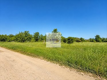 Polecam działkę 1375 m² z warunkami zabudowy Radziszewo działka Radziszewo