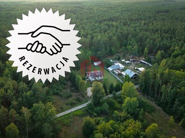 Dom 110 m² z prywatnym lasem i dużą działką - polecam! dom Kamionka