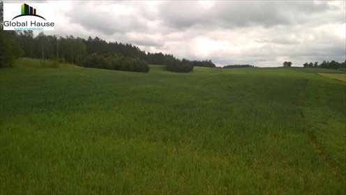 Działka rolna na sprzedaż Nowe Krzywe 3 080m2 Foto 6