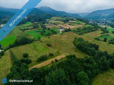 działka na sprzedaż 5700m2 działka Kamienica