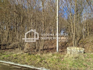 działka na sprzedaż 3205m2 działka Lublewo Gdańskie