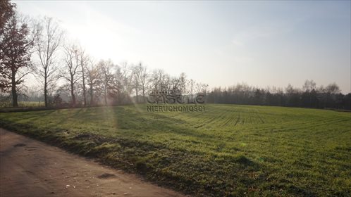 Działka budowlana na sprzedaż Mieściska, Topolowa 4 972m2 Foto 7