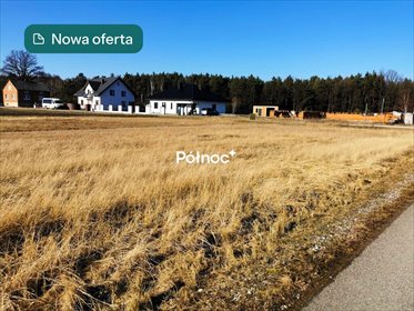 Działka 3883 m² z warunkami zabudowy w Wólce Pytowskiej działka Wólka Pytowska
