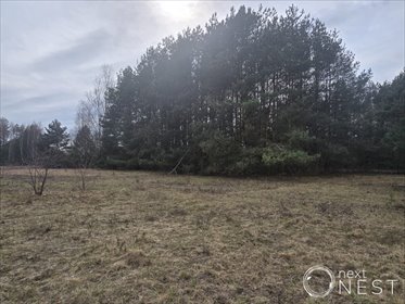 Do sprzedania działka 1211 m² w Marylce z mediami działka Marylka