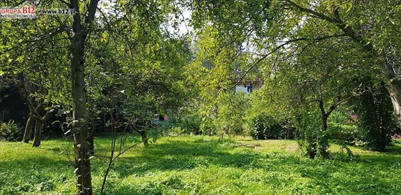 działka na sprzedaż 1300m2 działka Grabówki, Grabówki, Jedynaka